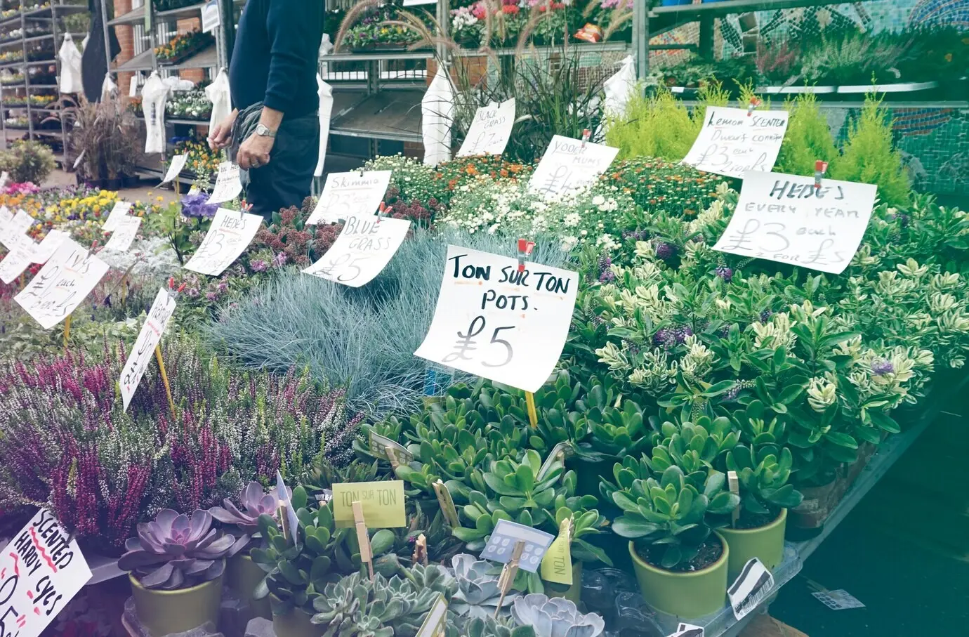 Blumengeschäft in voller Blüte auf dem Marktplatz